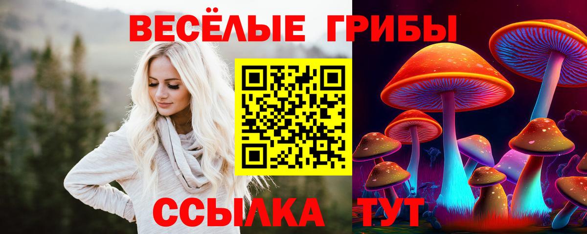 Кимры  Галлюциногенные грибы Magic Shrooms  где можно купить   Вход с VPN 