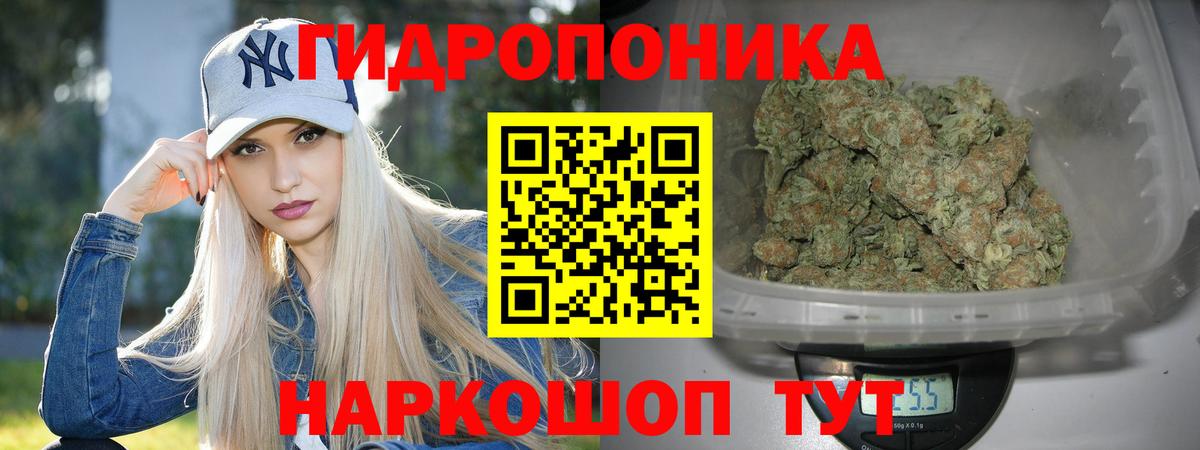 Кимры  Каннабис OG Kush  Вход с VPN  МАРИХУАНА Ganja  Марихуана White Widow 